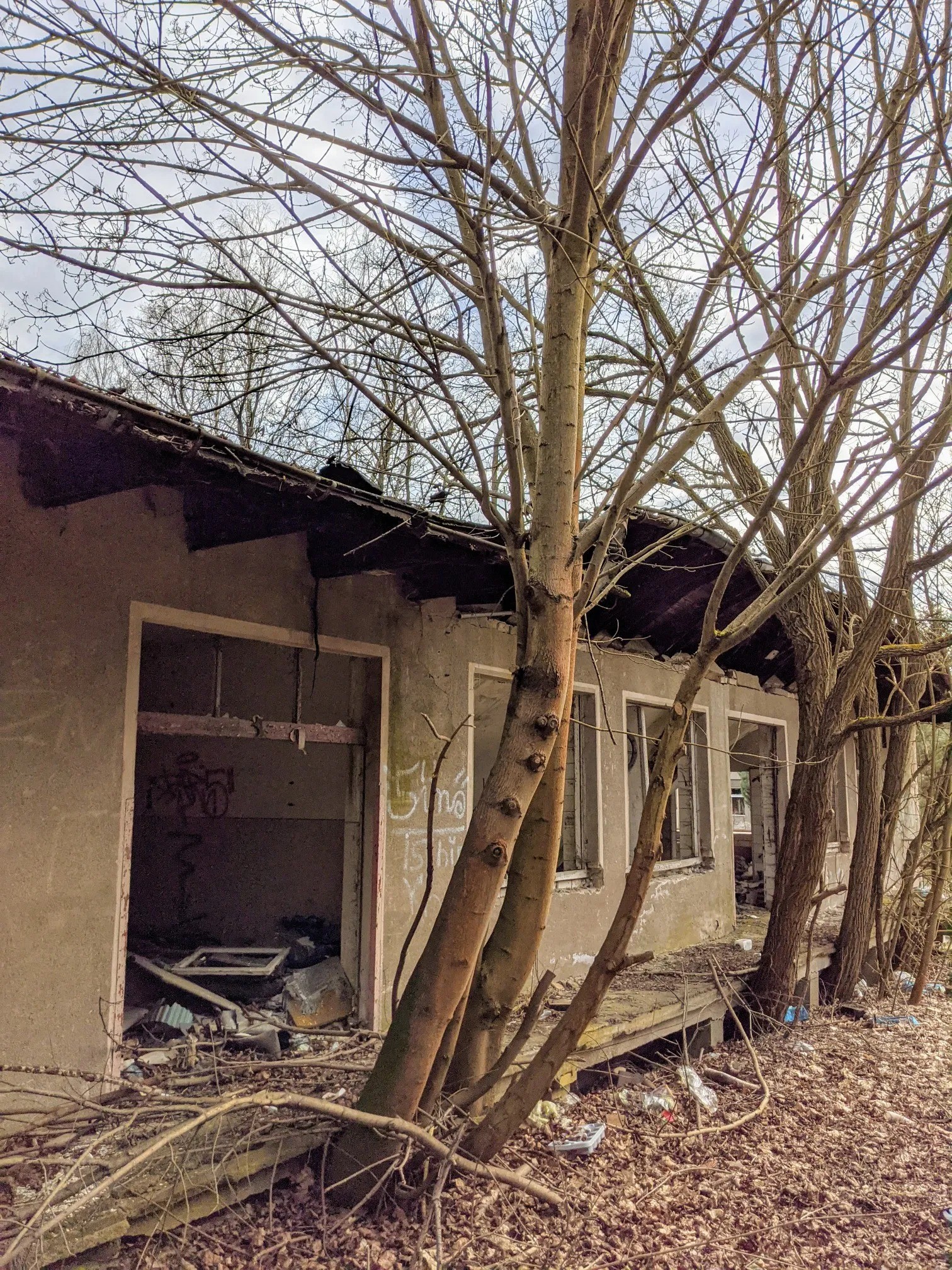 Verfallenes Flachgebäude zwischen kahlen Bäumen