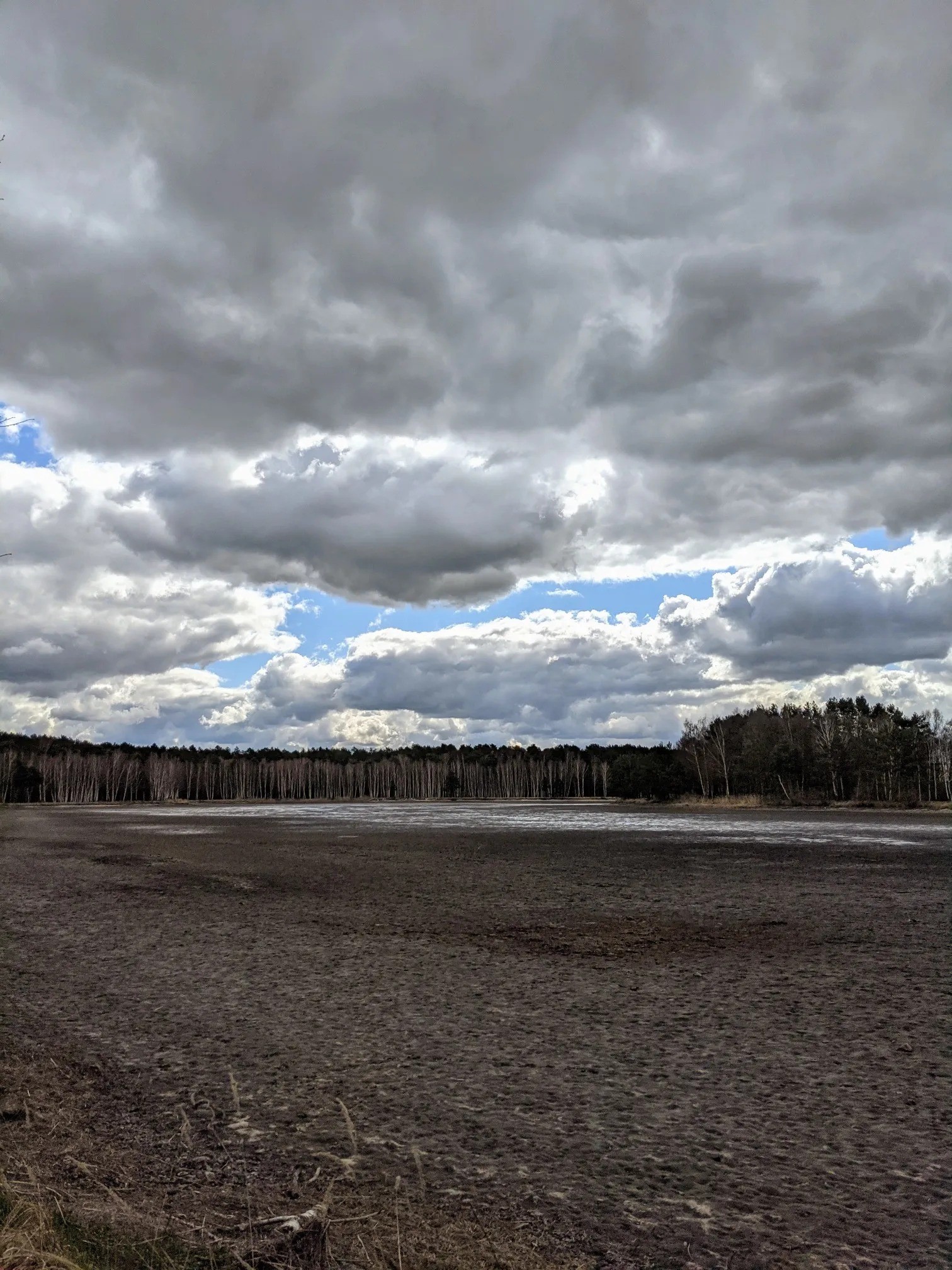 Flacher Seegrund unter Wolkenhimmel vor Kiefernwald