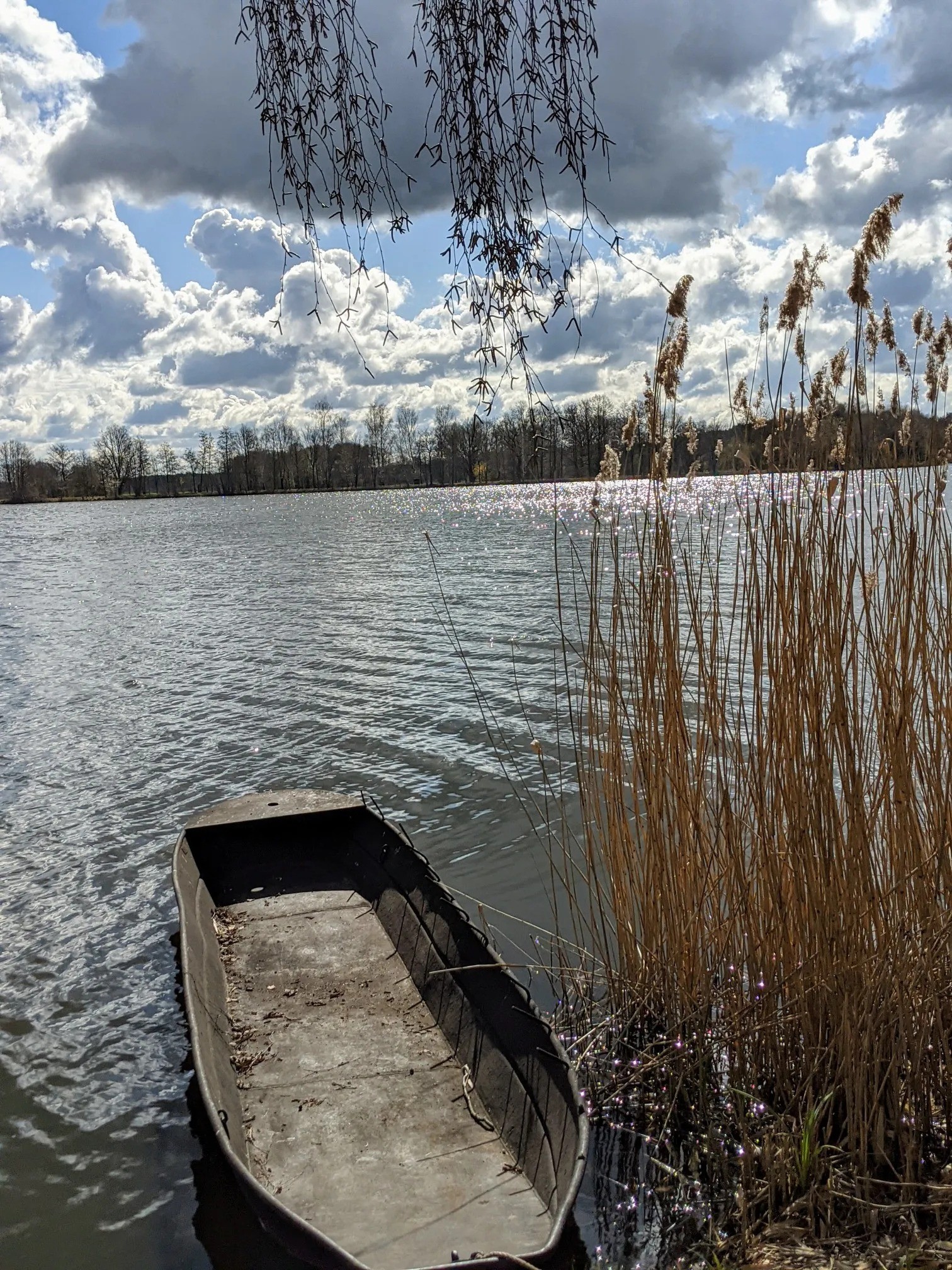 Flacher Kahn am Schilf eines Sees