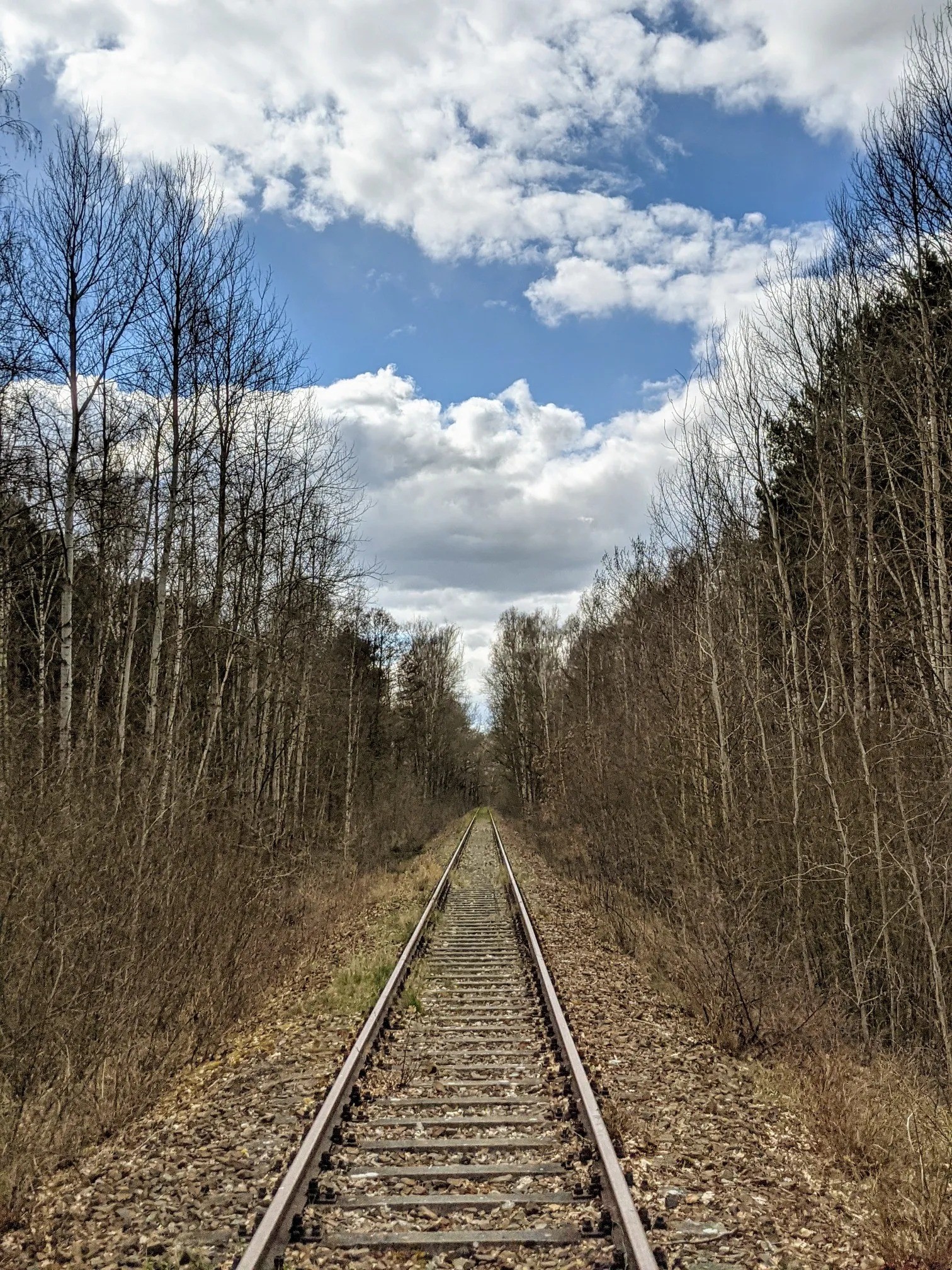Gleis in einer Waldschneise