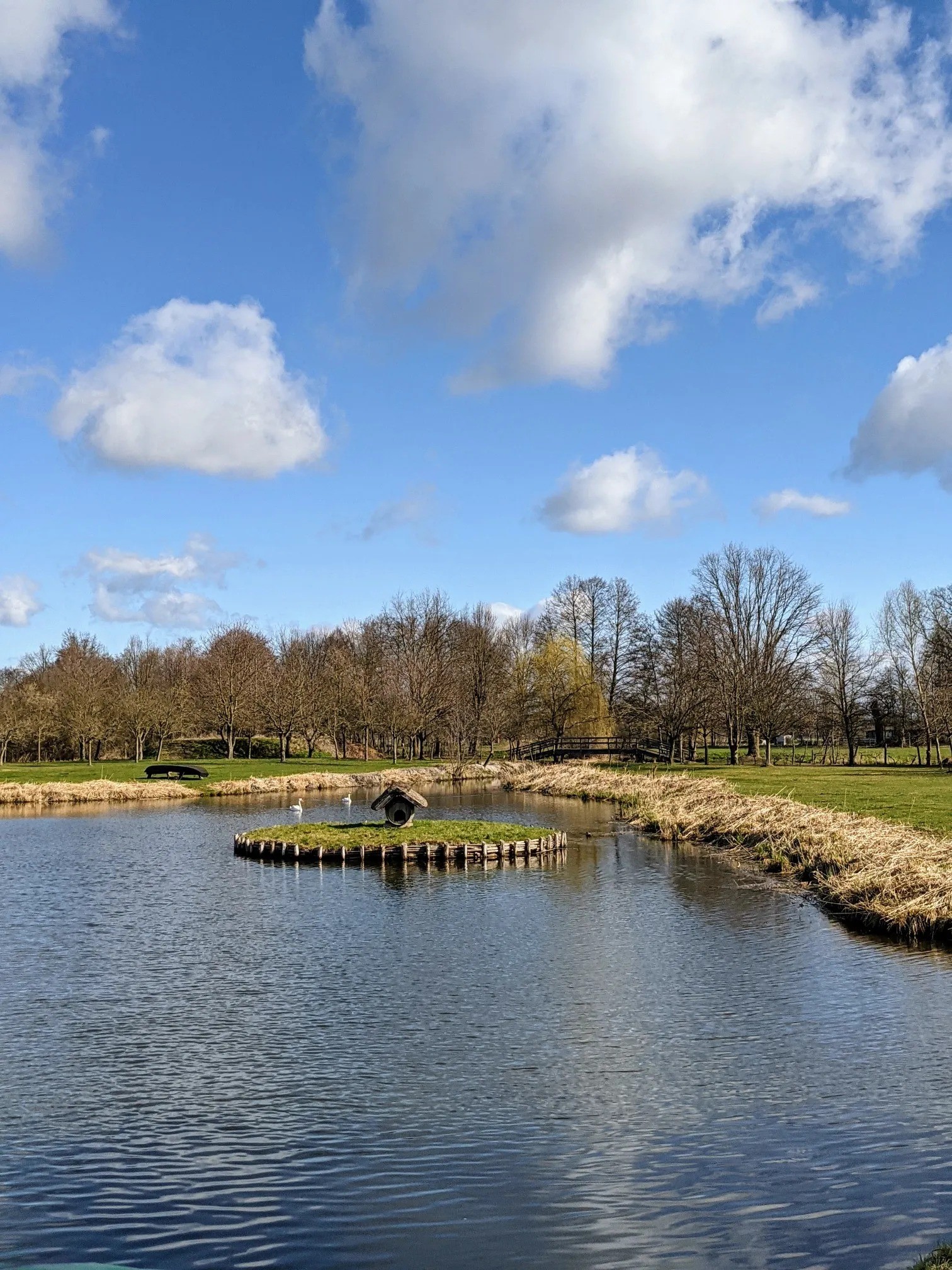 Teich mit Insel und Wiese unter blauem Himmel