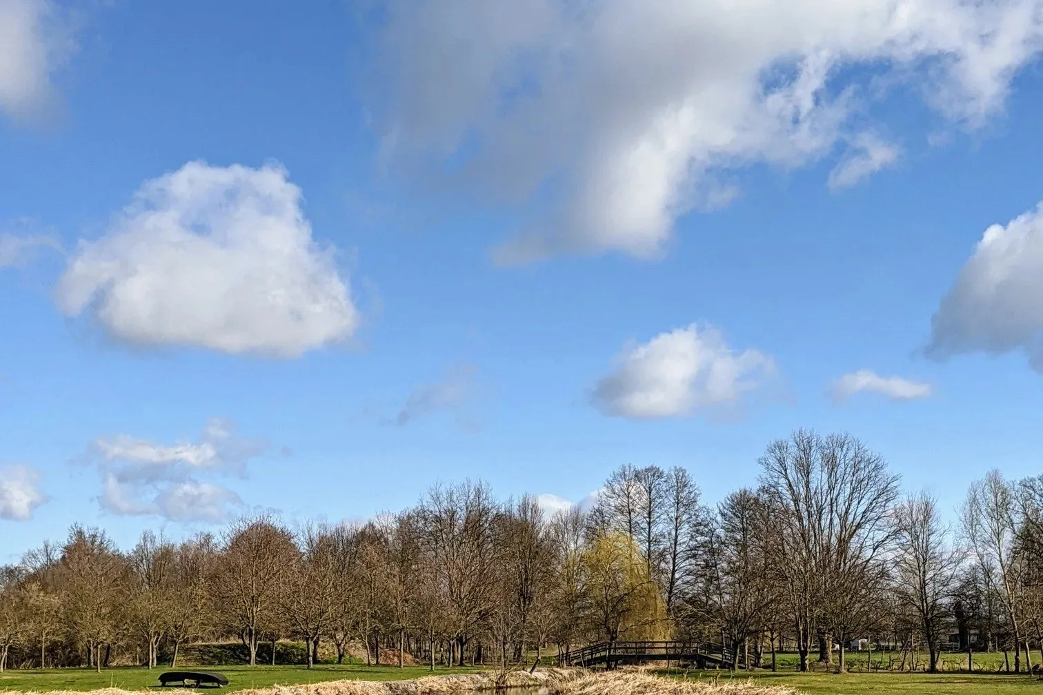 Teich mit Insel und Wiese unter blauem Himmel