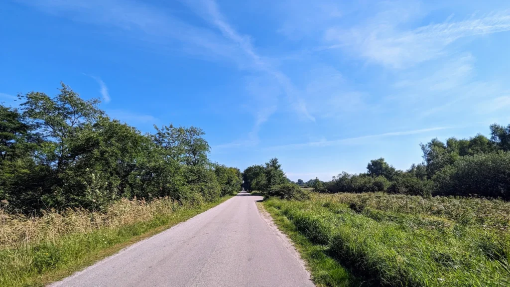 Schmale Asphaltstraße zwischen Wiesen und Gebüsch nördlich von Peenemünde