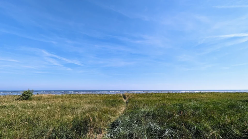 Trampelpfad durch eine weite Graswiese, am Horizont die Ostsee