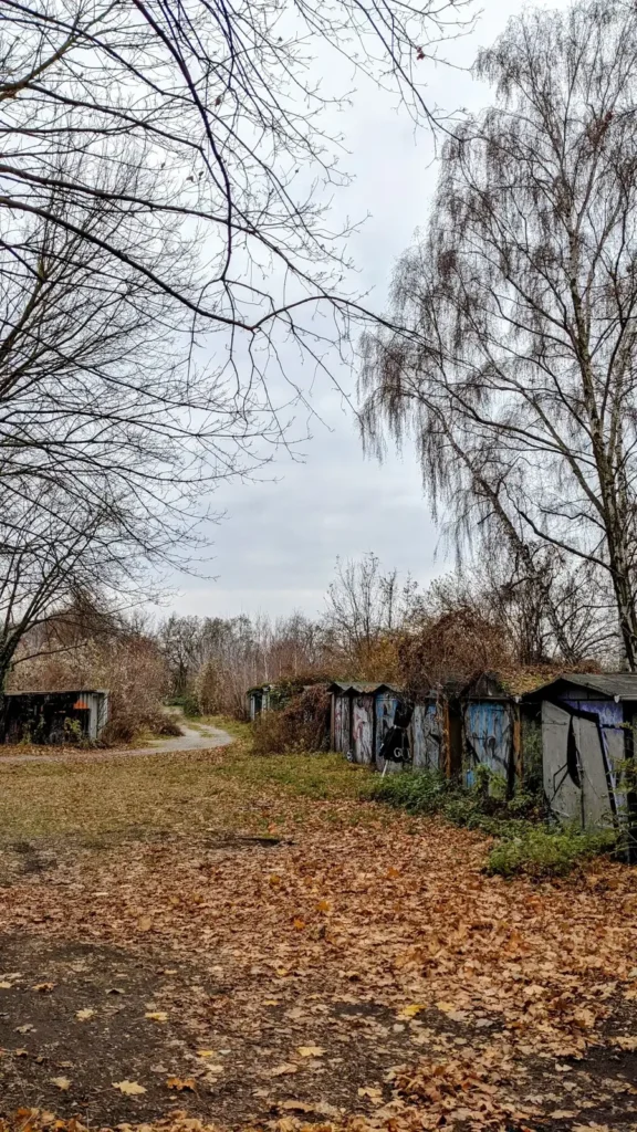 Schmaler Weg zwischen Hecken und Lauben einer Kleingartenanlage in Plänterwald im Herbst