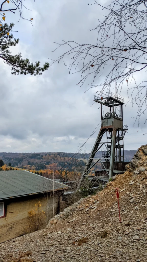 Fördergerüst am Rammelsberg zwischen Bäumen, davor eine Halde