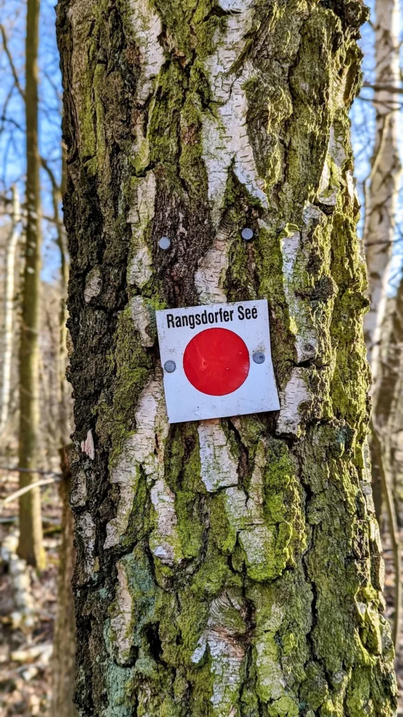 Schild mit rotem Kreis und der Aufschrift Rangsdorfer See an einem Baumstamm