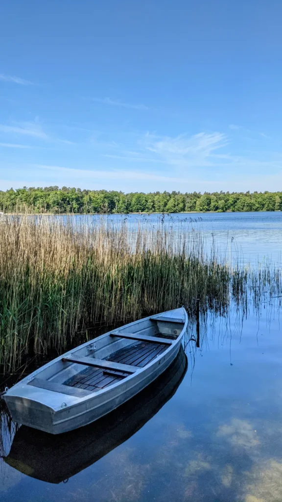 Ruderboot im Schilf am Seeufer in Rheinsberg