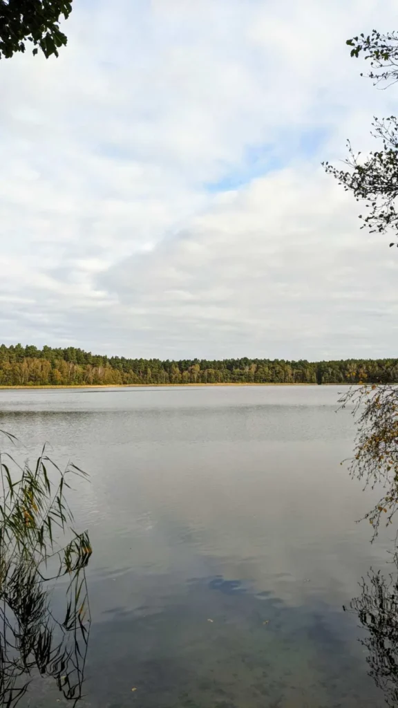 See mit Schilfrand und bewaldetem Ufer im Seengebiet nordöstlich von Rheinsberg