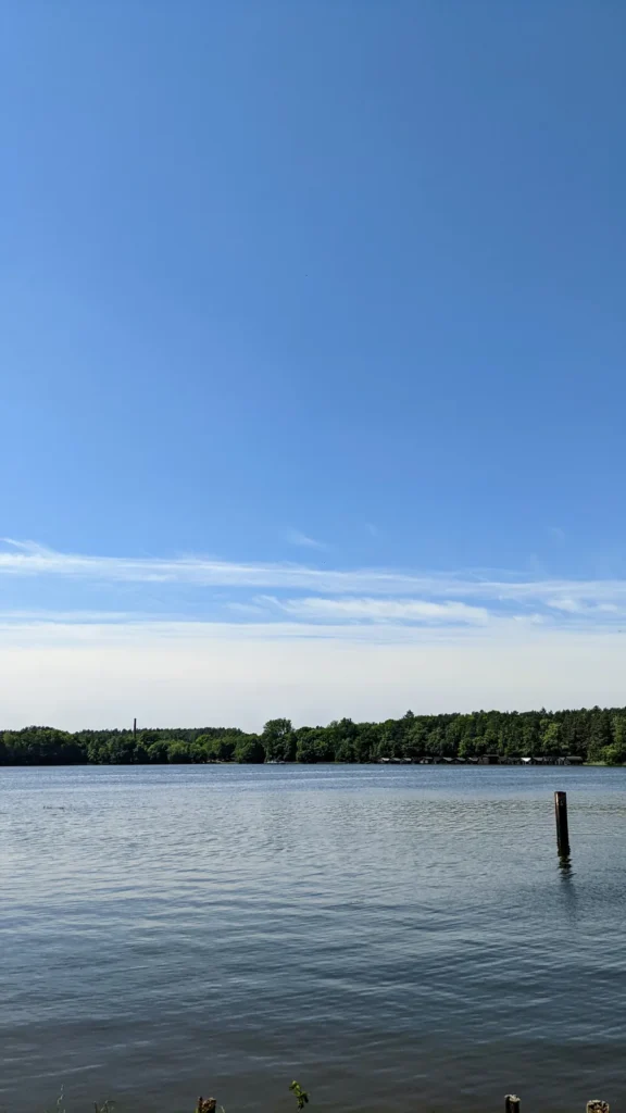 Blick über den See nördlich von Rheinsberg mit Pfahl im Wasser und Waldrand