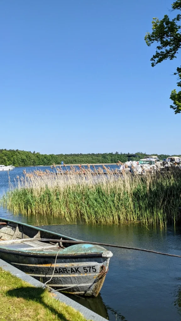 Ruderboot am Ufer in Rheinsberg vor Schilf und See