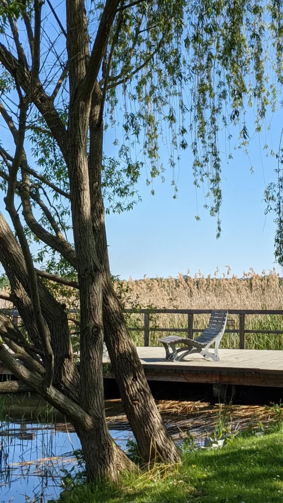 Weide und Liegestuhl auf einem Steg am Ufer in Rheinsberg