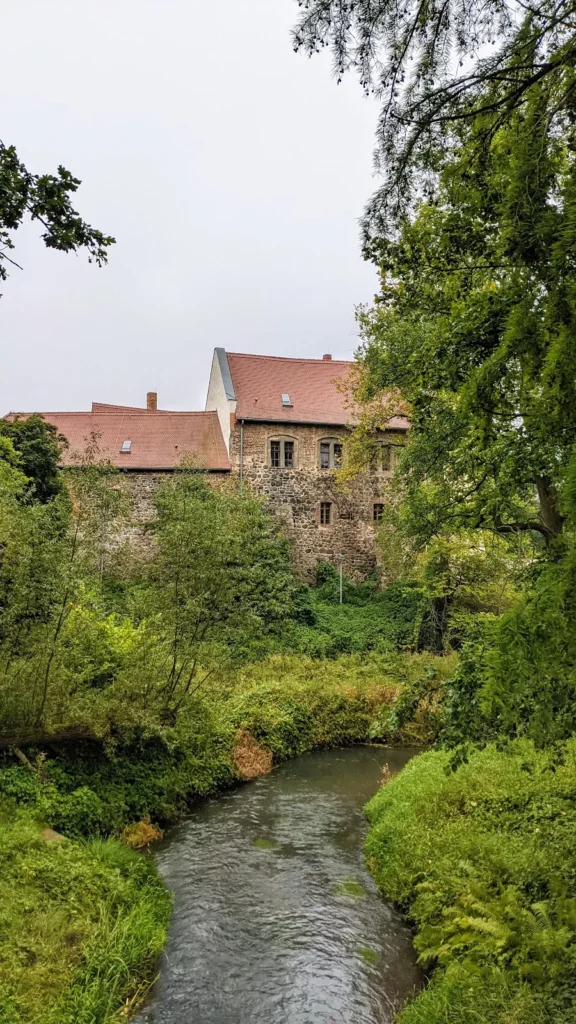 Wasserburg Roßlau hinter Bäumen, davor ein kleiner Fluss mit grünen Ufern
