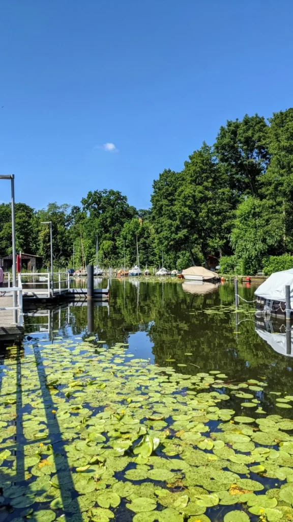Seerosen und Bootsplätze an einem Wasserlauf vor Rahnsdorf