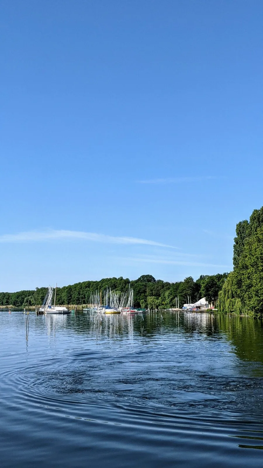 Blick über den Müggelsee mit Segelbooten am Ufer bei Friedrichshagen