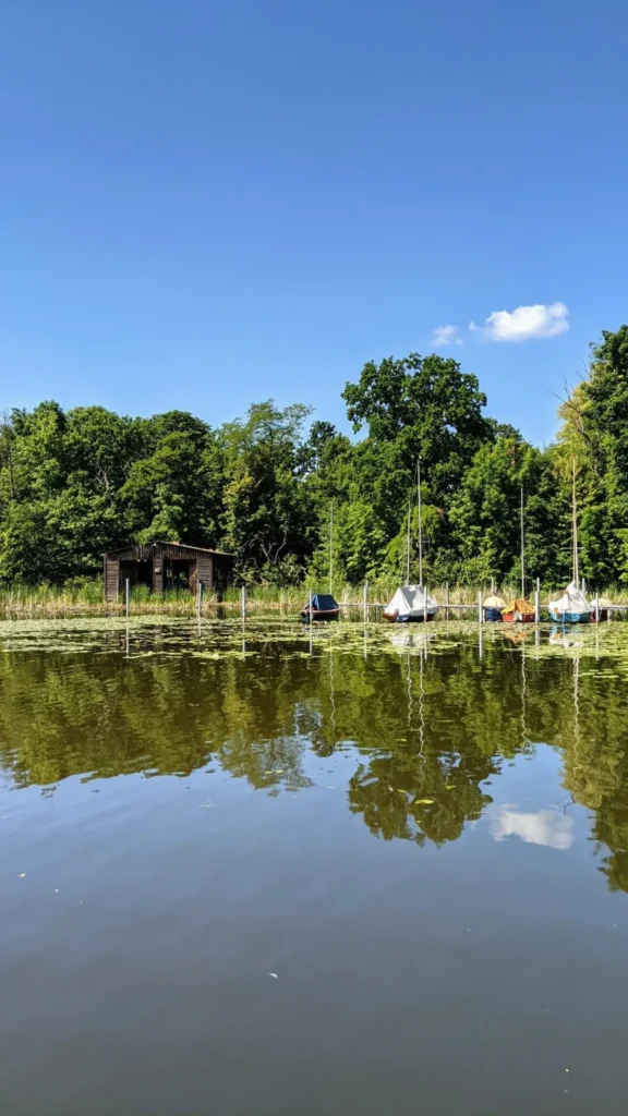 Steg am Wasser mit Spiegelung der Uferbäume bei Rahnsdorf