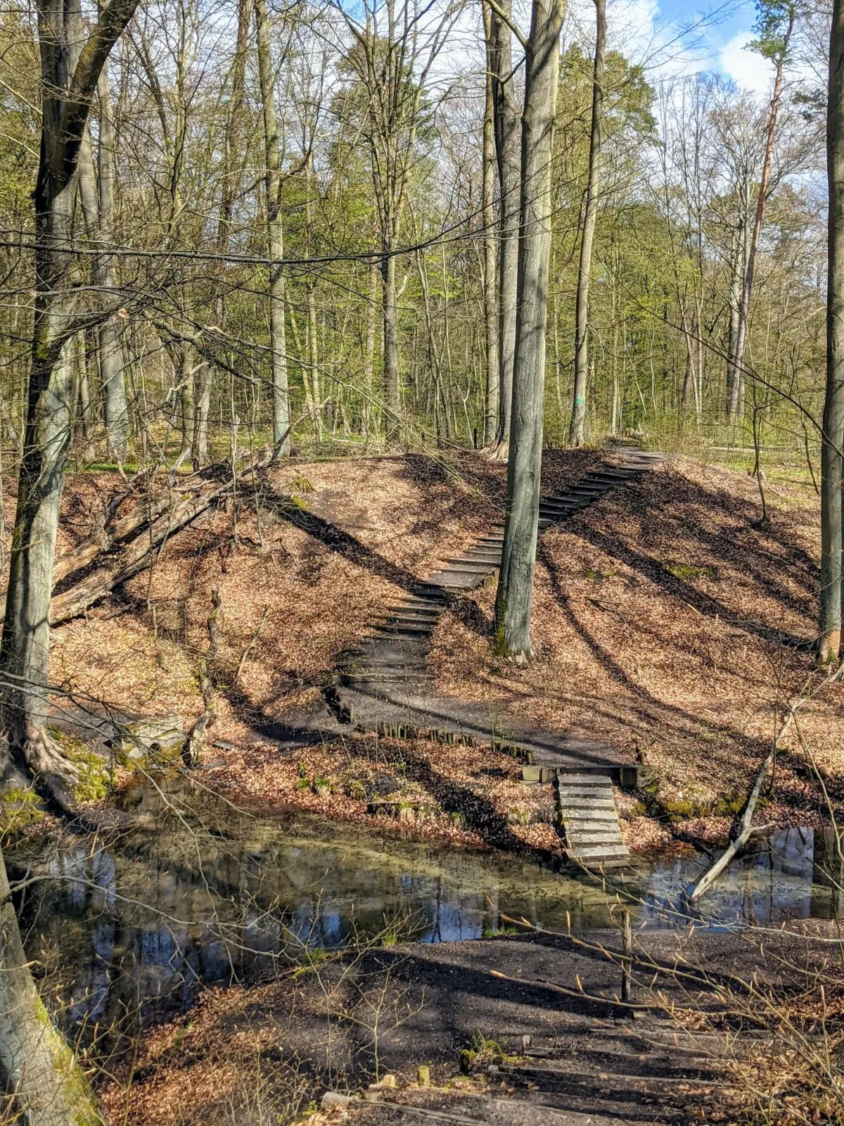 Hang mit Quellaustritt und Stufen an den Herthaquellen bei Eberswalde