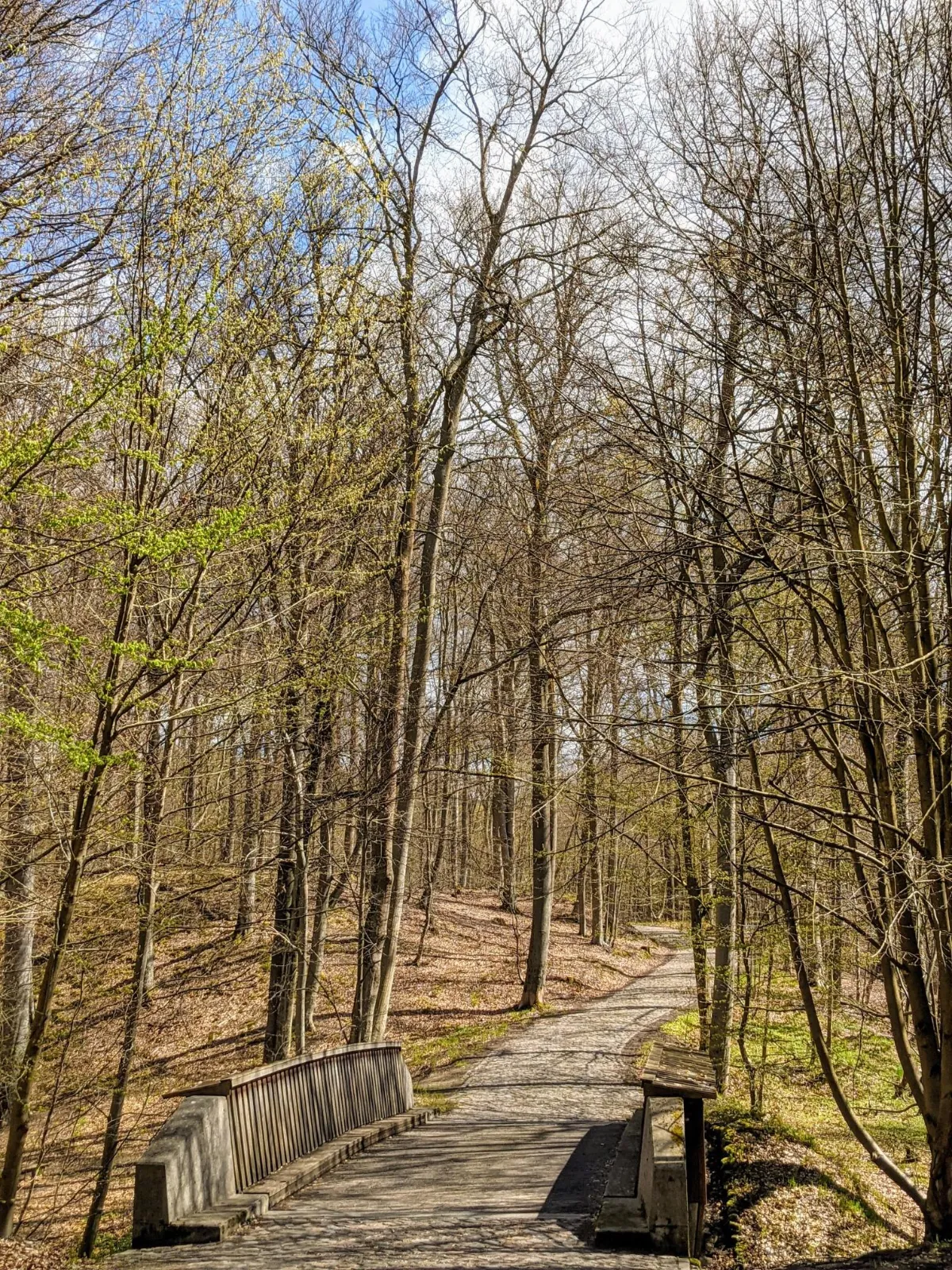 Bohlenweg mit Geländer am Liesenkrüz im Nonnenfließtal