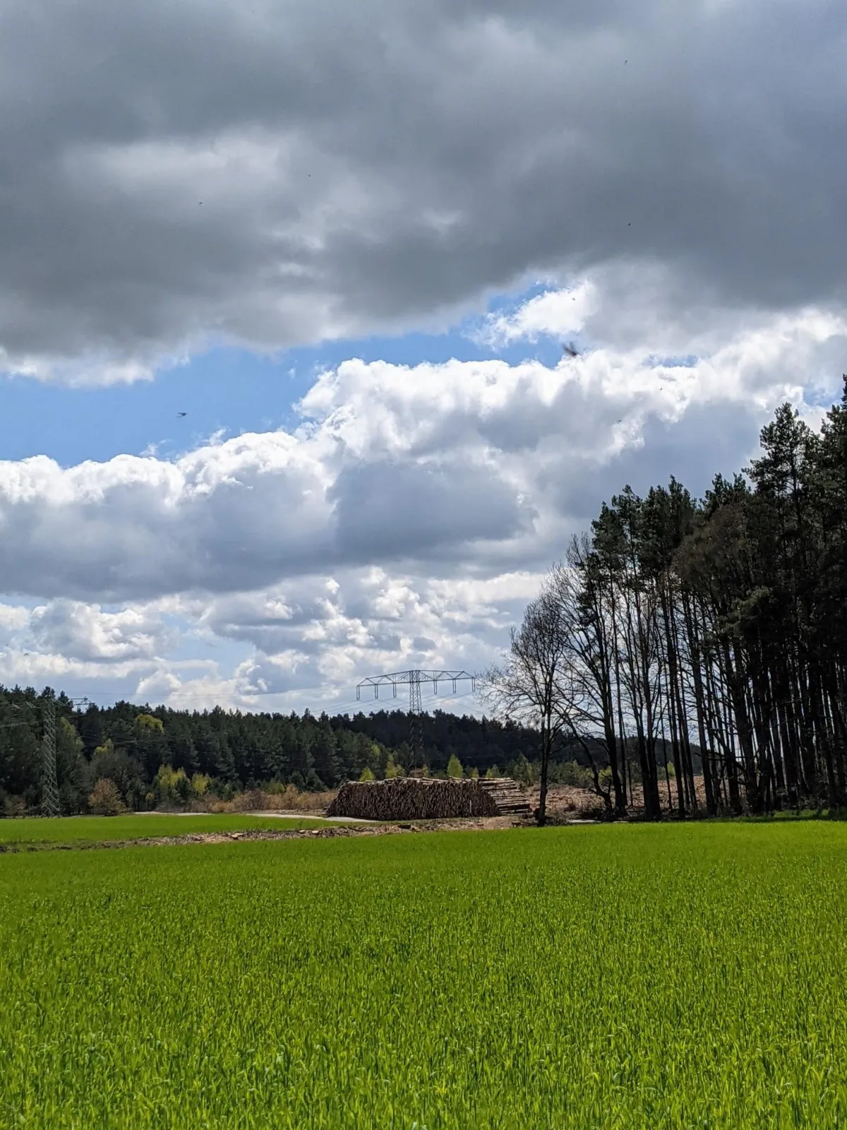 Feld unter Wolken zwischen Schönholz und Melchow