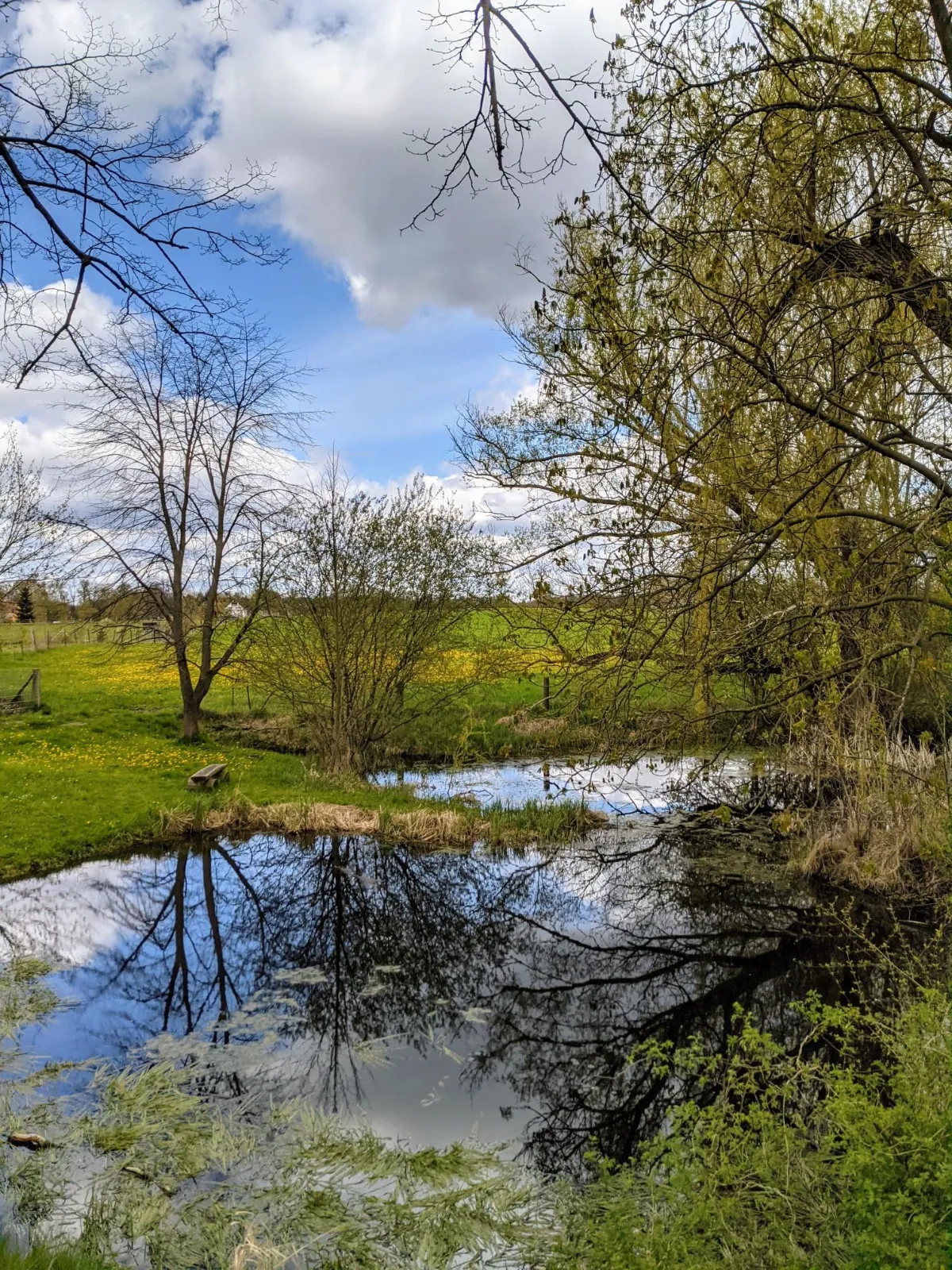 Teich vor Melchow