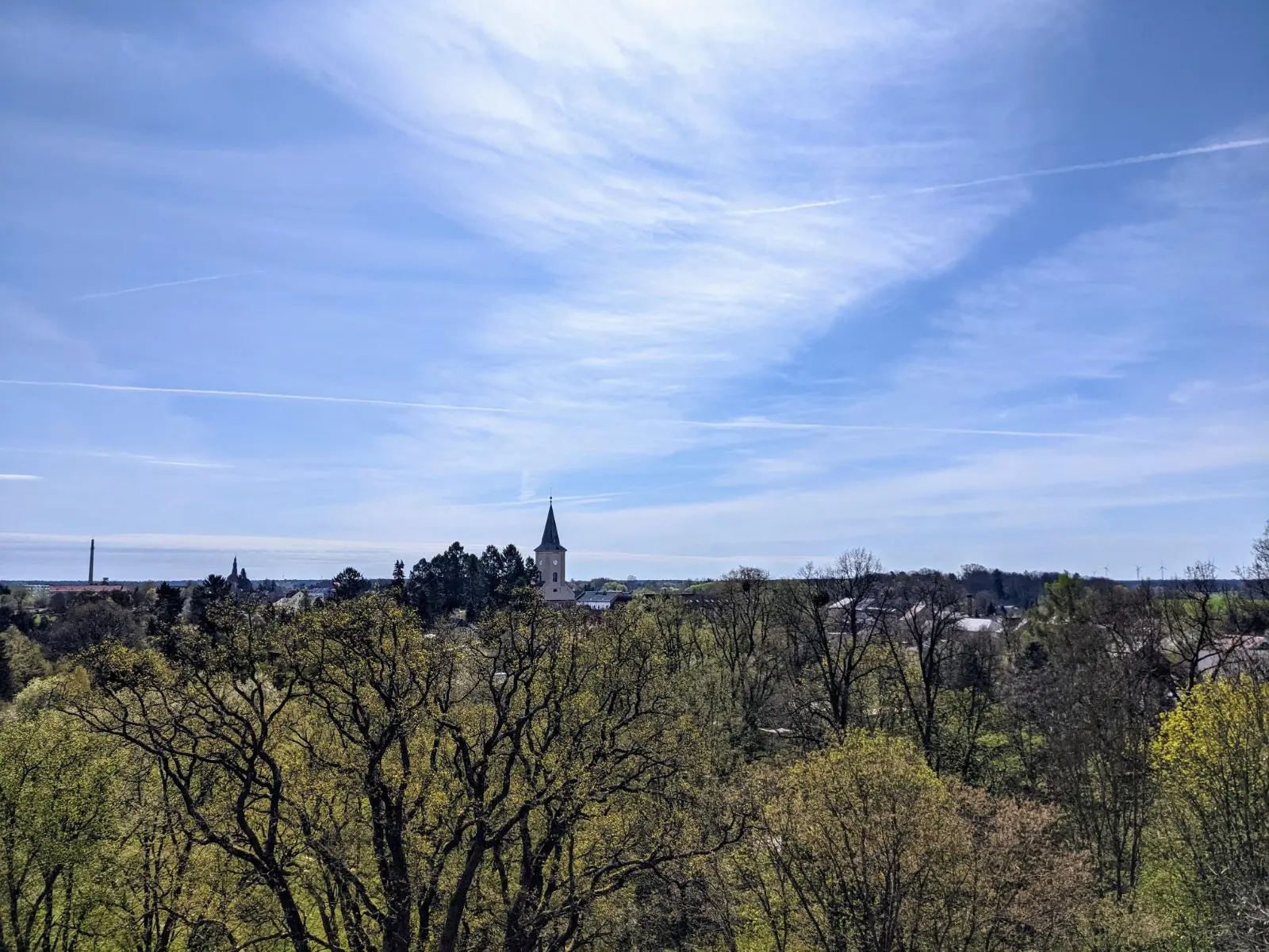 Blick über Baumkronen auf Biesenthal, in der Mitte der Turm der Stadtkirche
