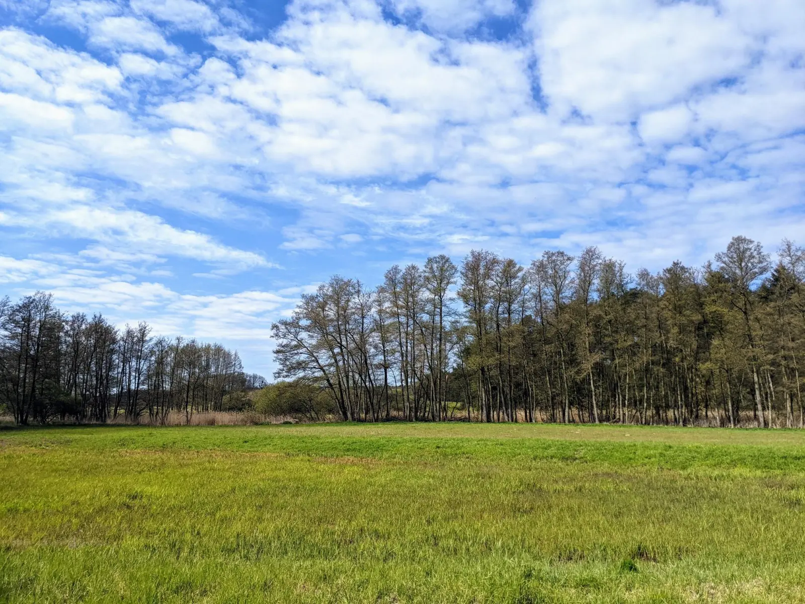 Wiesen im Finowtal bei Biesenthal