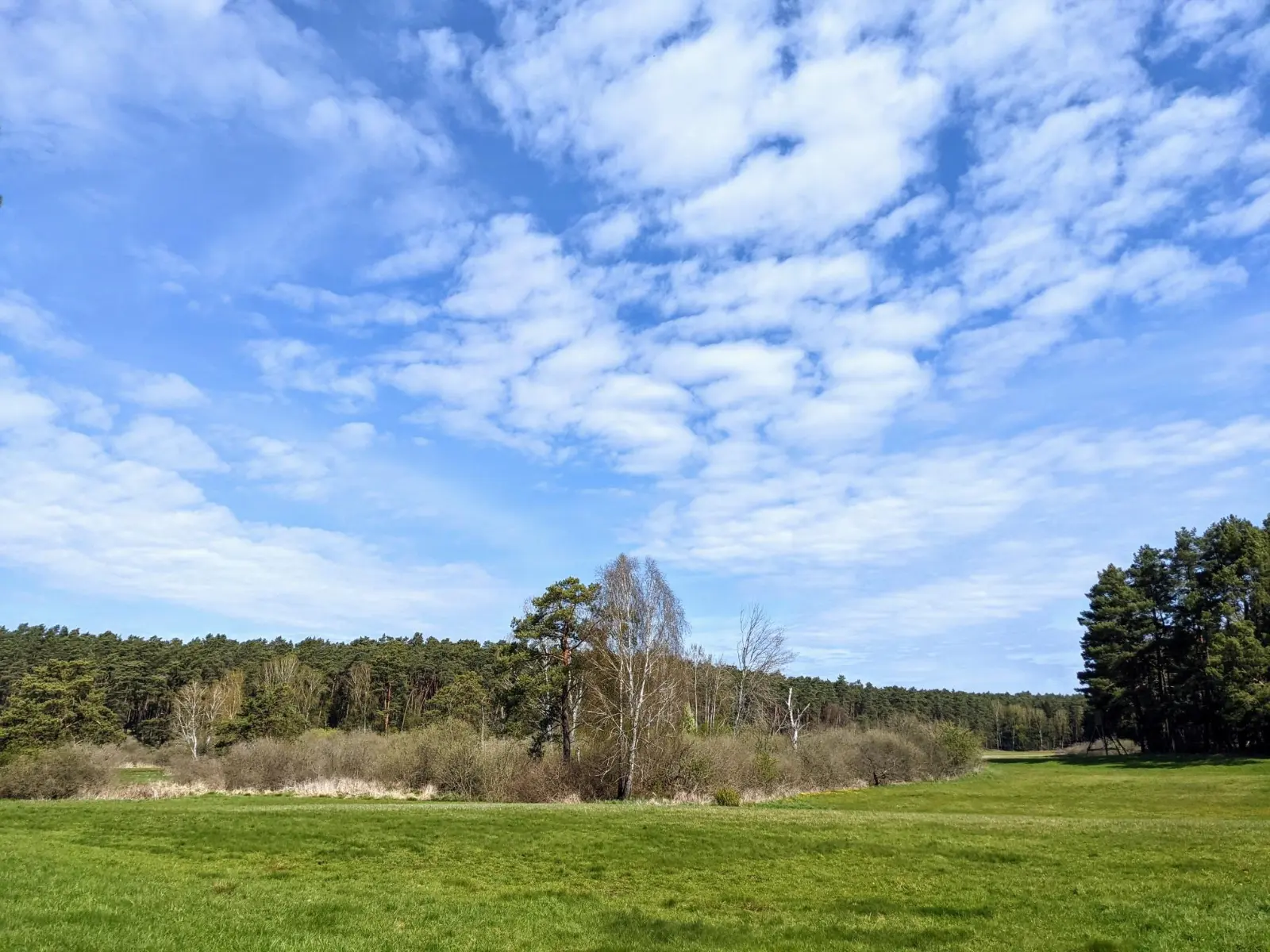 Weite Wiesen im Finowtal