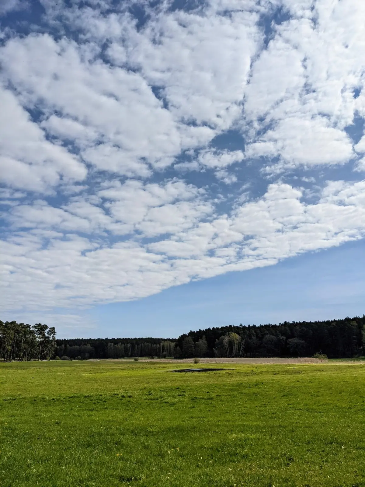 Weg am Rand der Wiesen im Finowtal