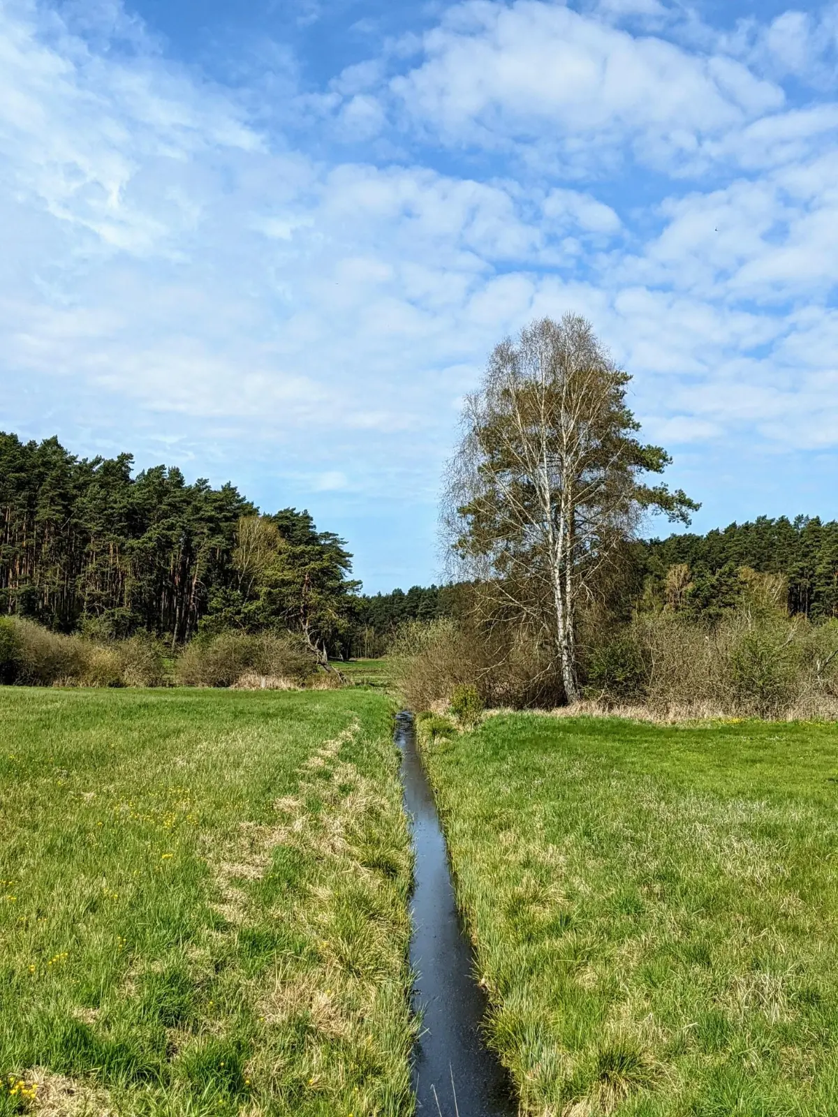 Graben in einer Wiese im Finowtal