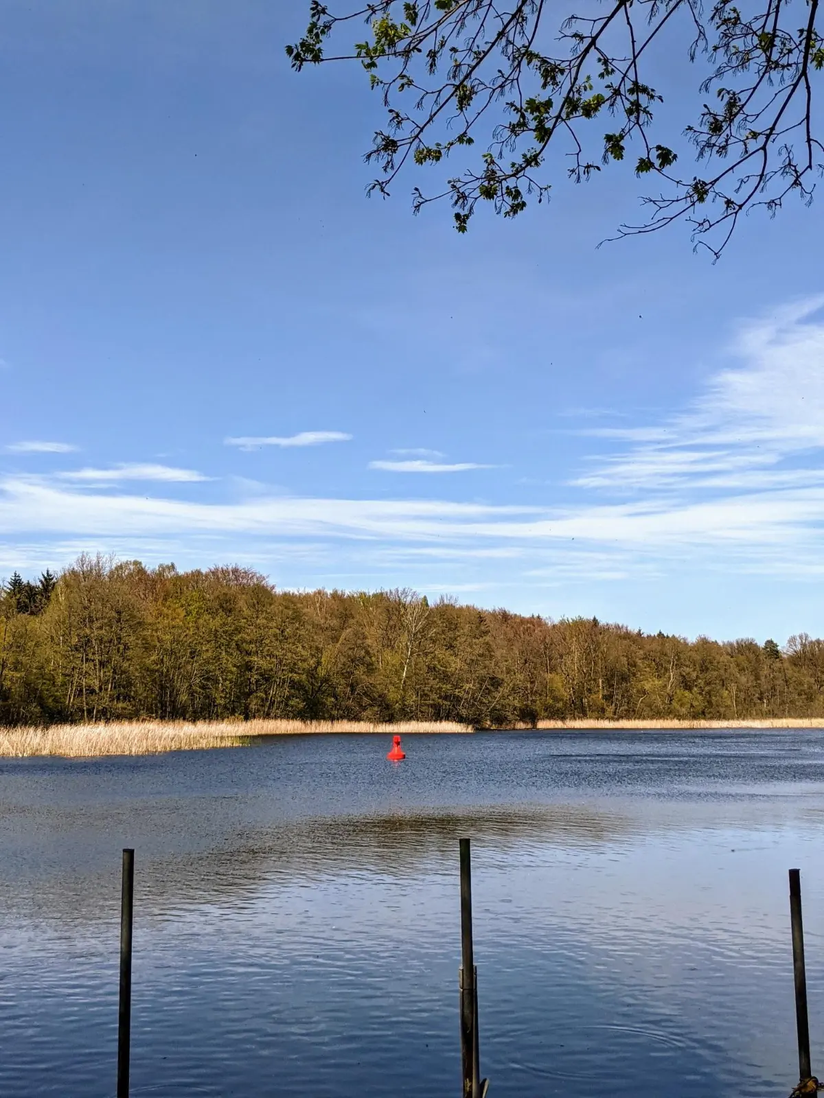 Der Pechteichsee