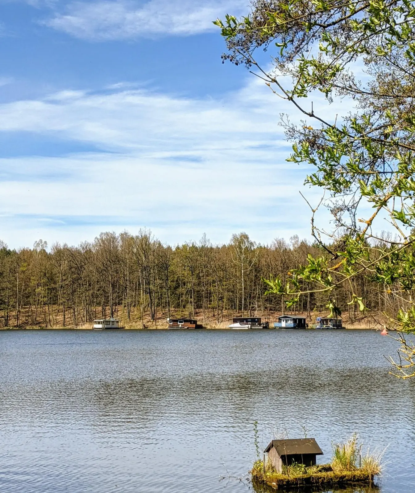 Rosenbecksee mit einem Entenhaus auf dem Wasser