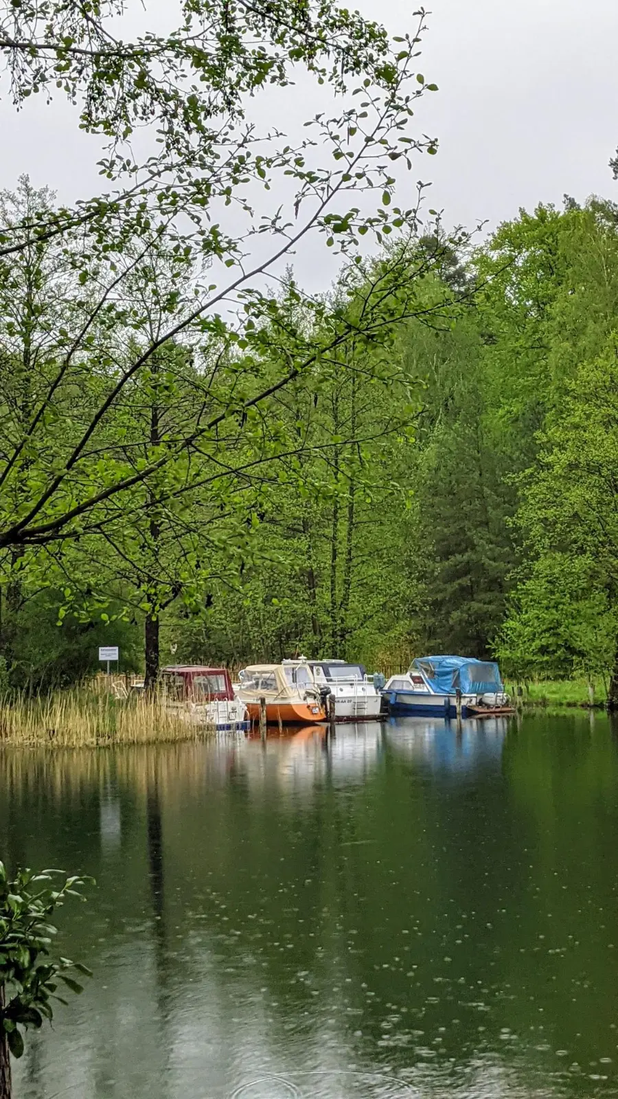 Werbellinkanal in Eichhorst mit Booten am Ufer