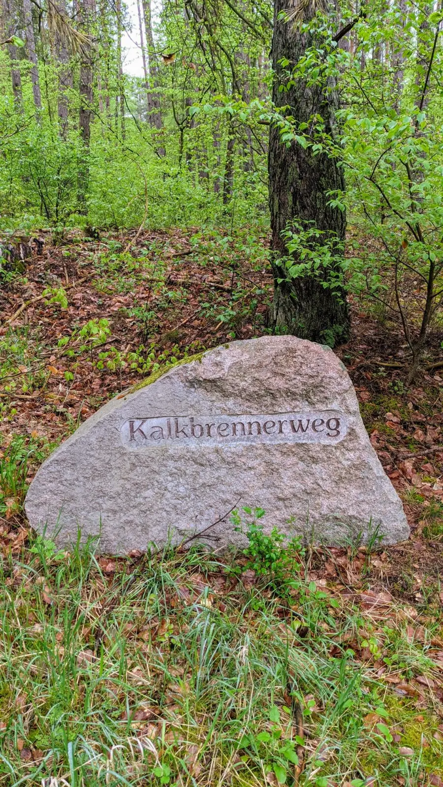 Forstortstein mit der Aufschrift Kalkbrennerweg