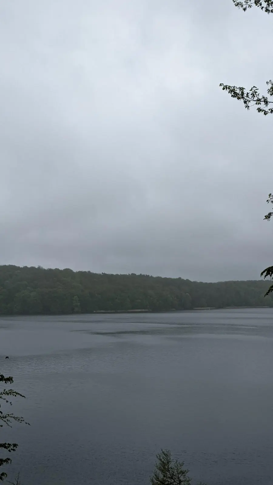 Blick auf den Werbellinsee