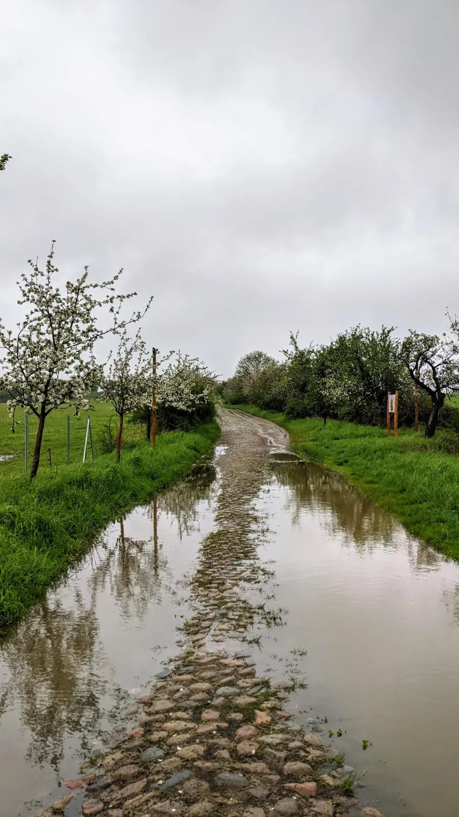 Alter Pflasterweg mit Pfützen vor Joachimsthal
