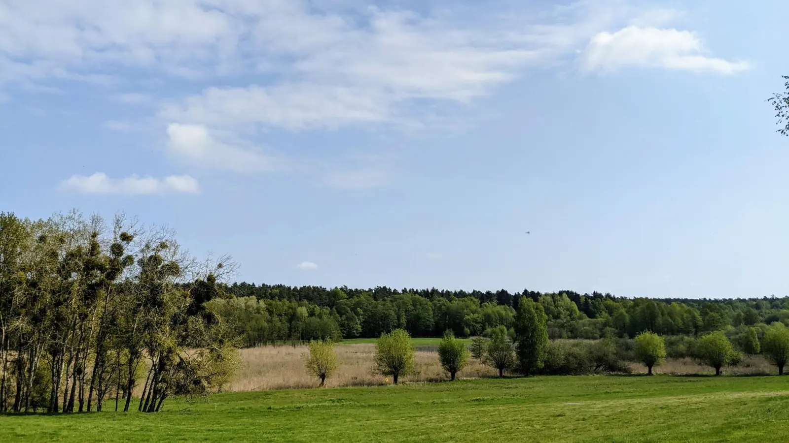 Felder vor Althüttendorf