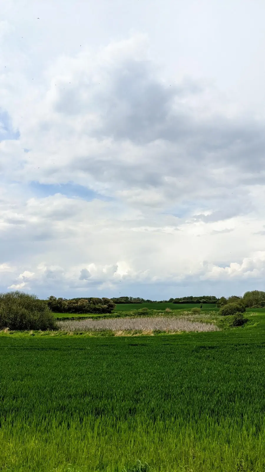 Feld mit einem Söll zwischen Groß-Ziethen und Senftenhütte