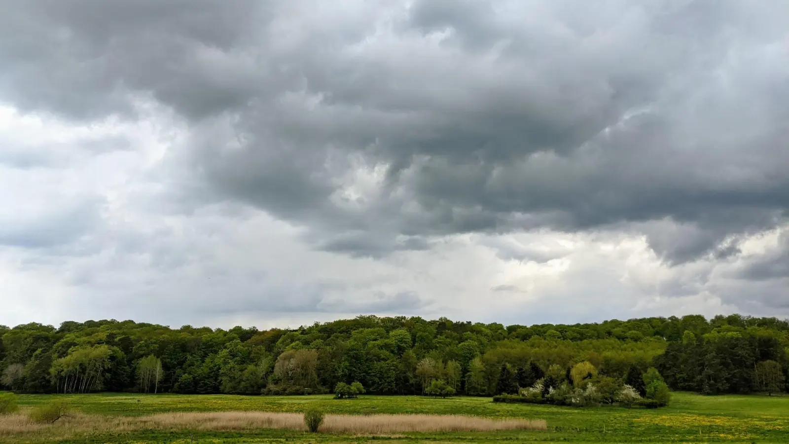 Wiesen vor Chorin