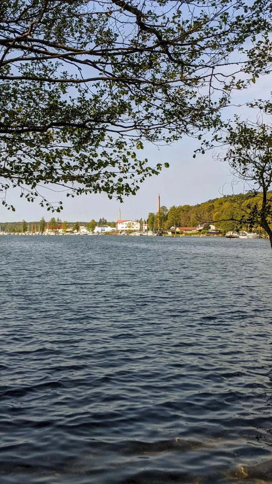 Boote am Ufer des Werbellinsees bei Joachimsthal