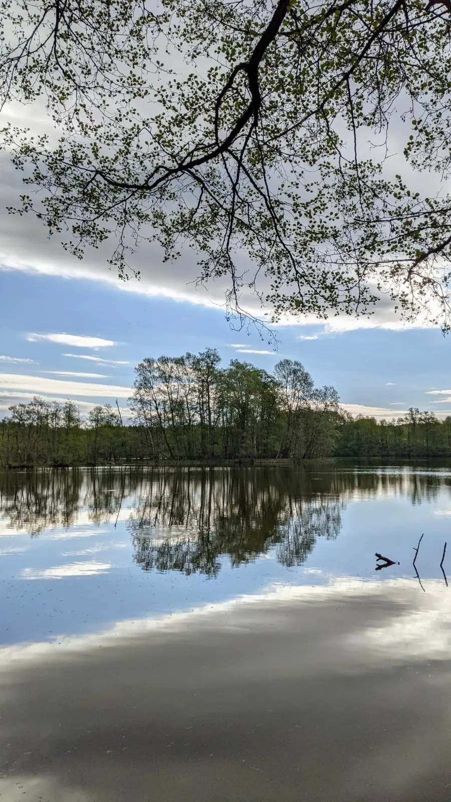 Der Amtssee bei Chorin