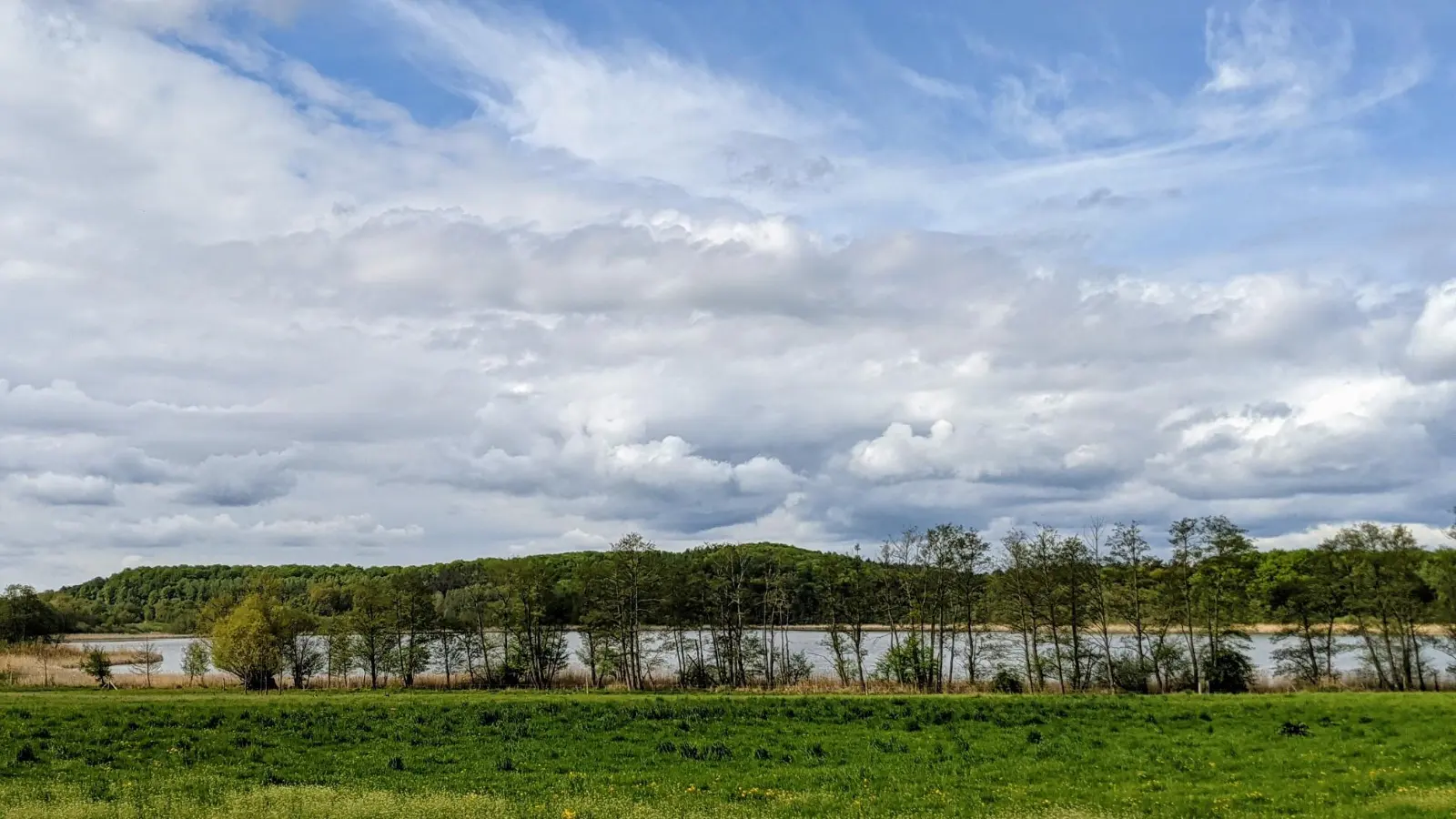 Felder bei Weißensee vor Brodowin