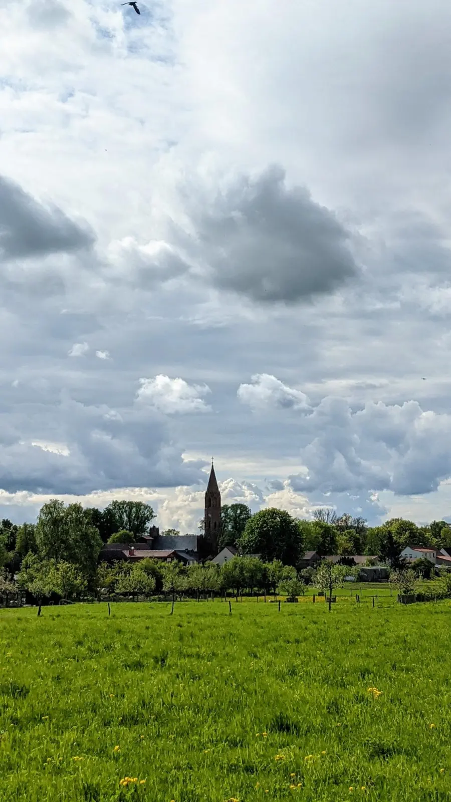 Blick auf das Dorf Brodowin