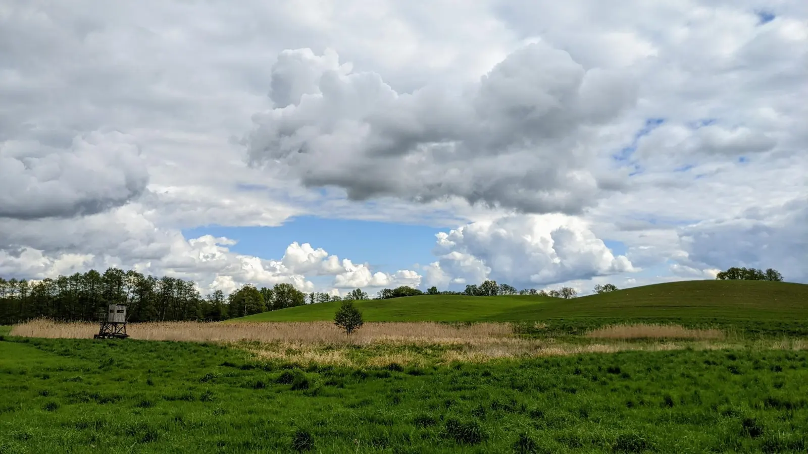 Hügelland hinter Brodowin mit Feldern und Hecken