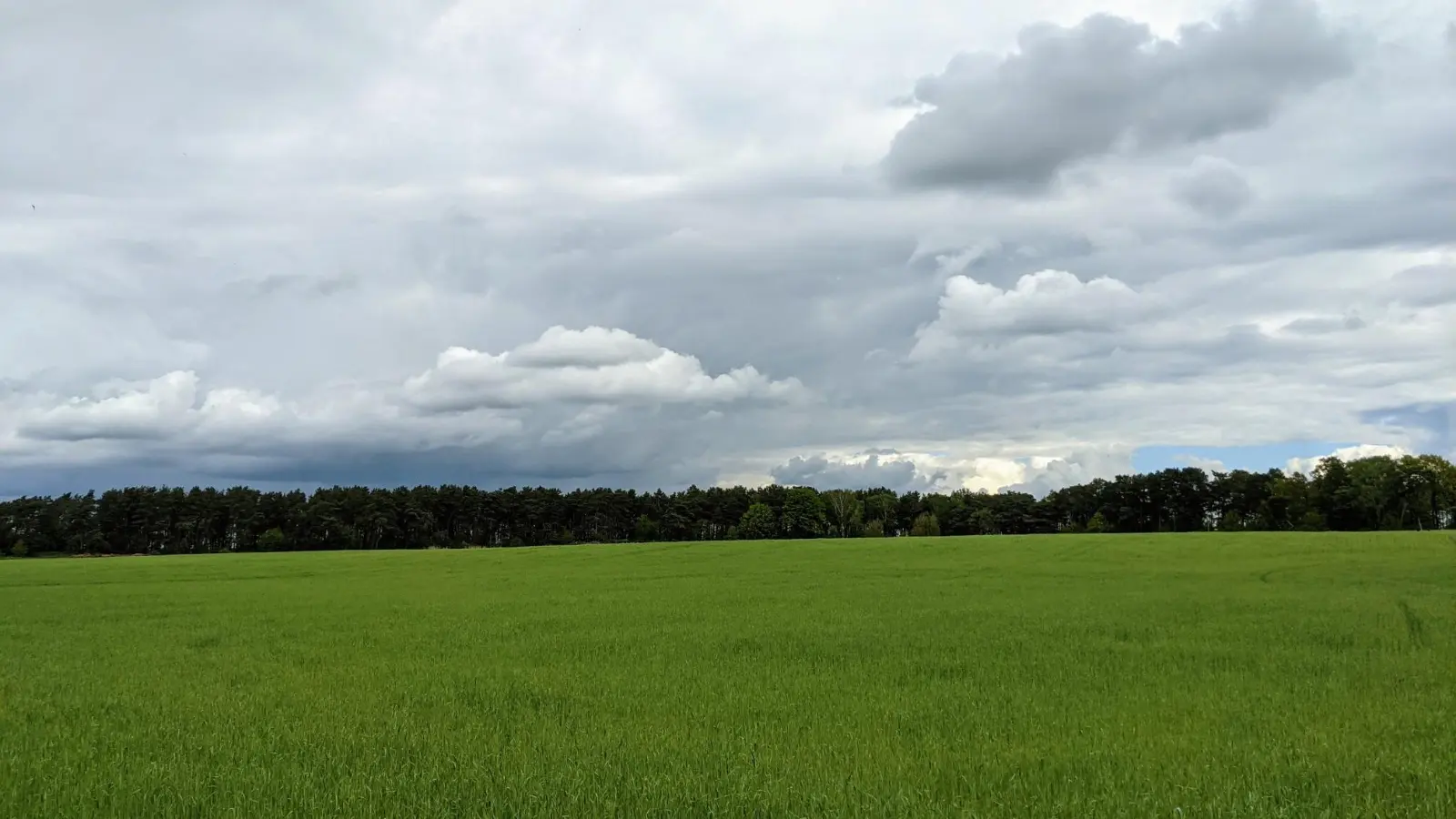 Felder und Waldrand im Hügelland hinter Brodowin