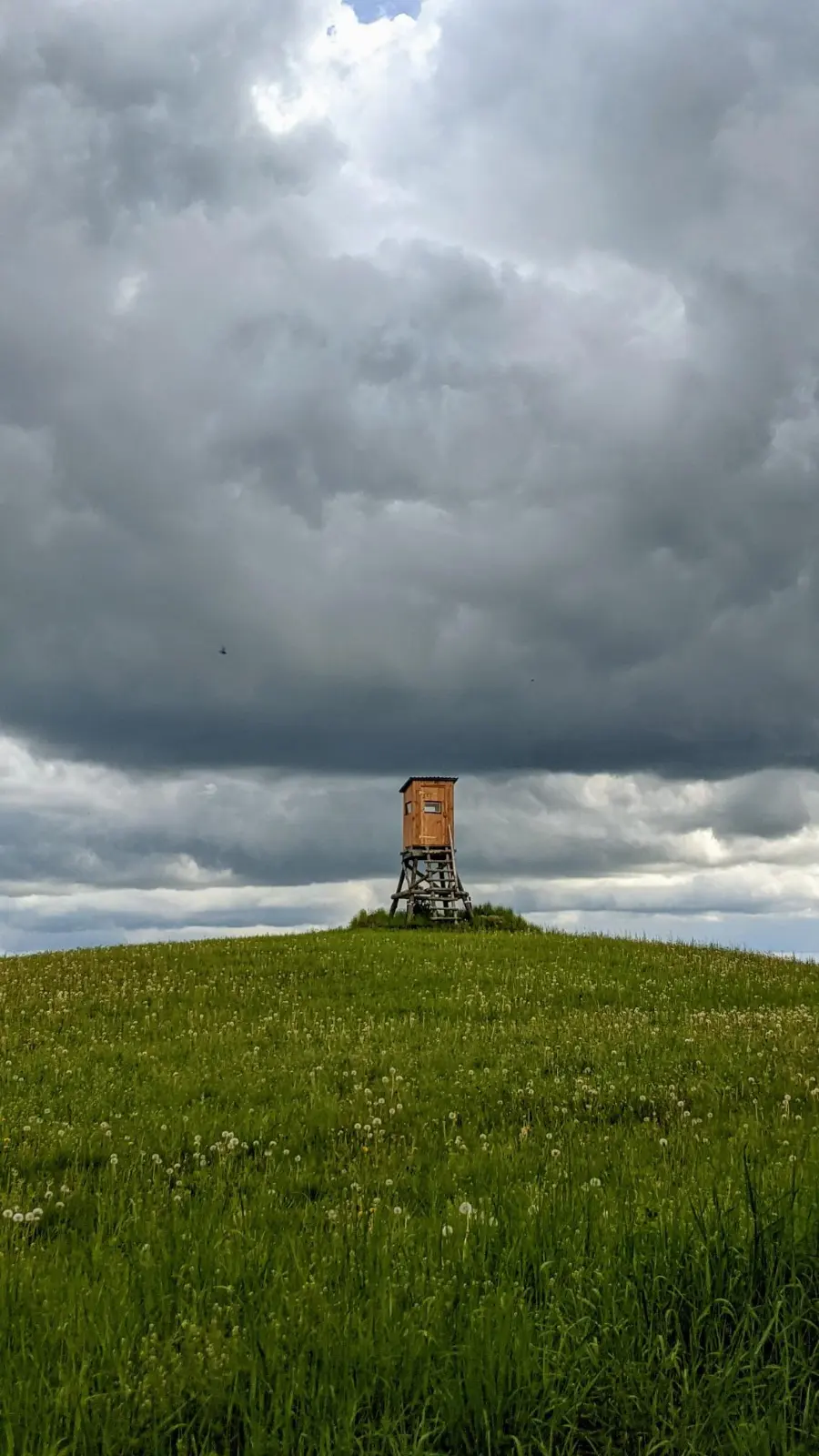 Hochsitz auf einer Kuppe zwischen Brodowin und Oderberg