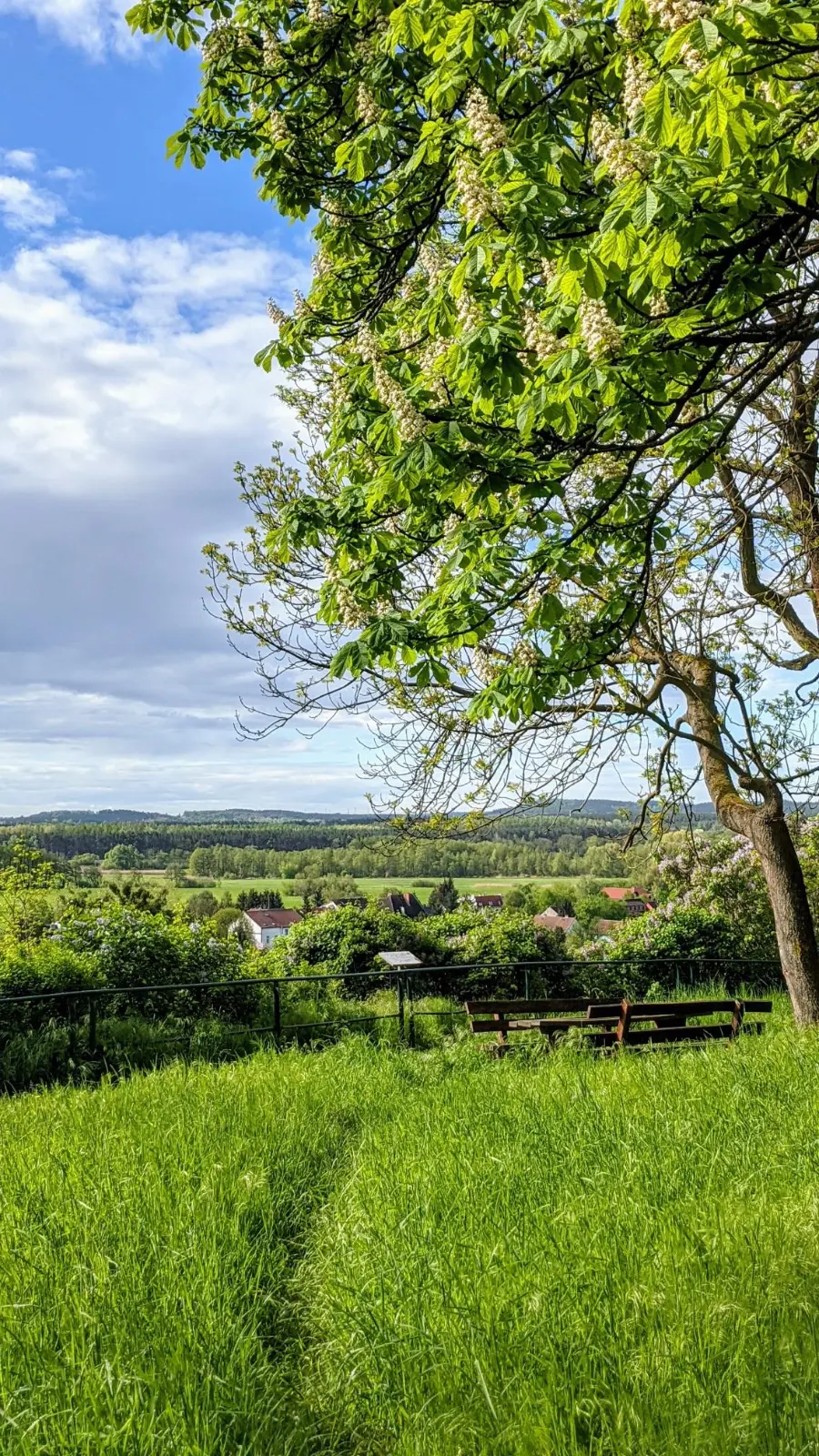 Blick vom Albrechtsberg in Oderberg