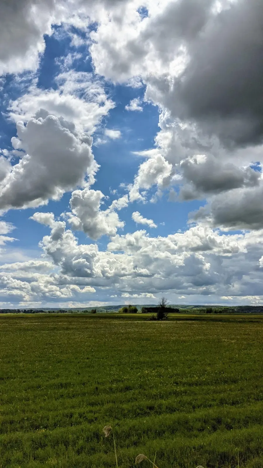 Feld vor Niederfinow