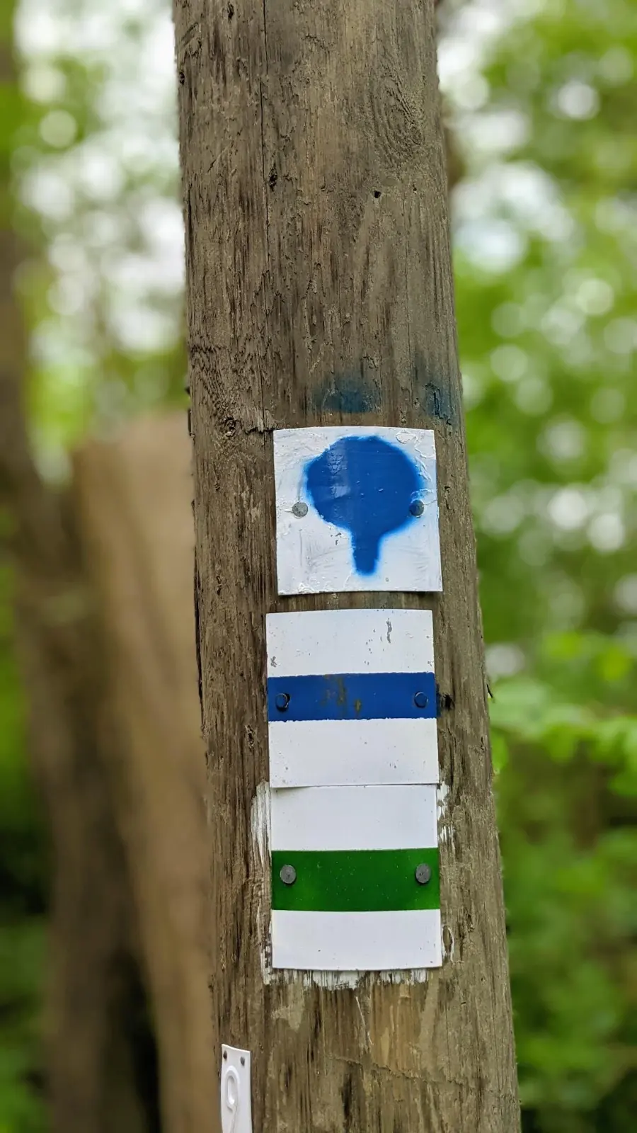 Wegmarken an einem Baum hinter Karlswerk