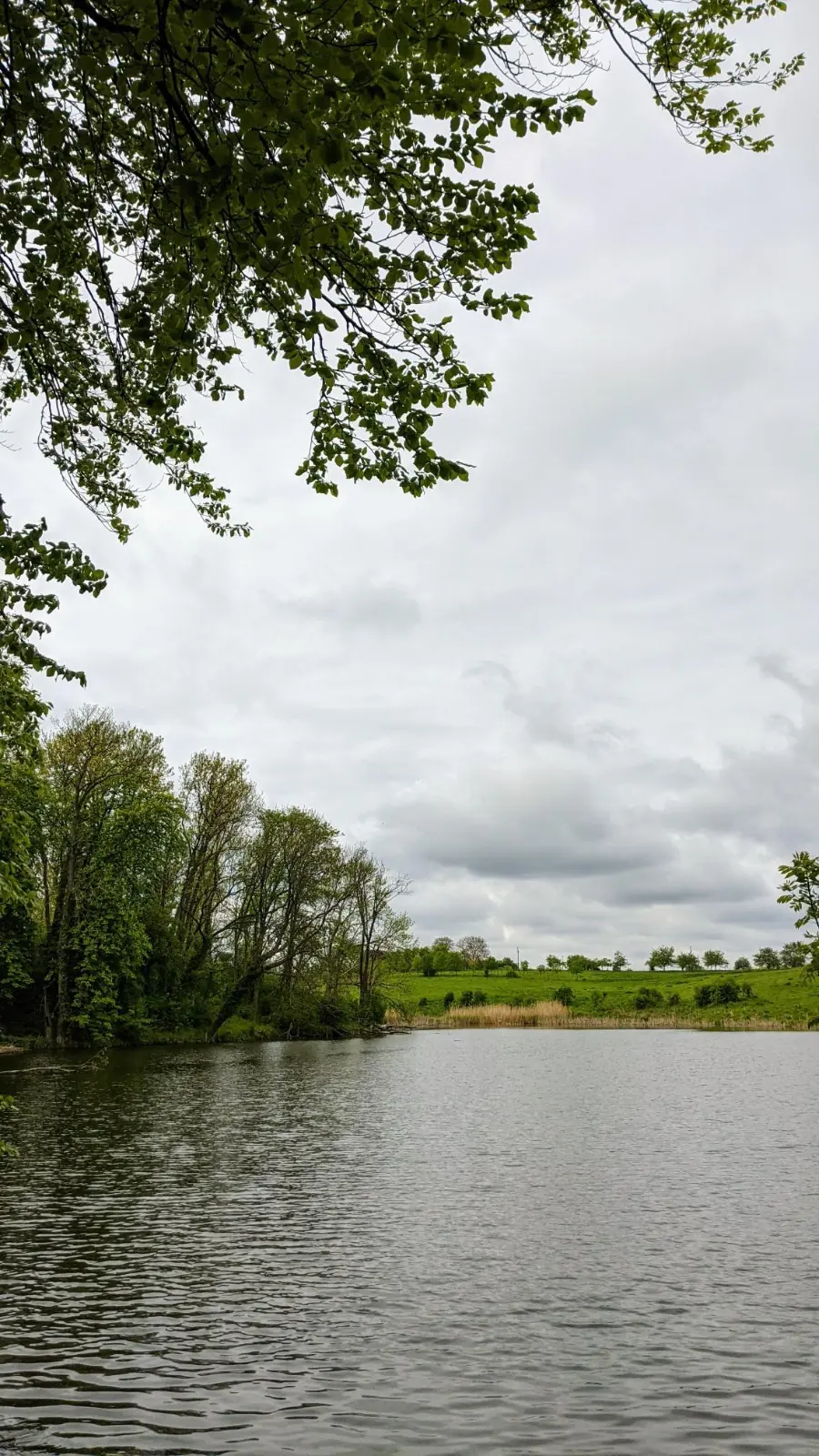 Teich am Weg vor Hohenfinow