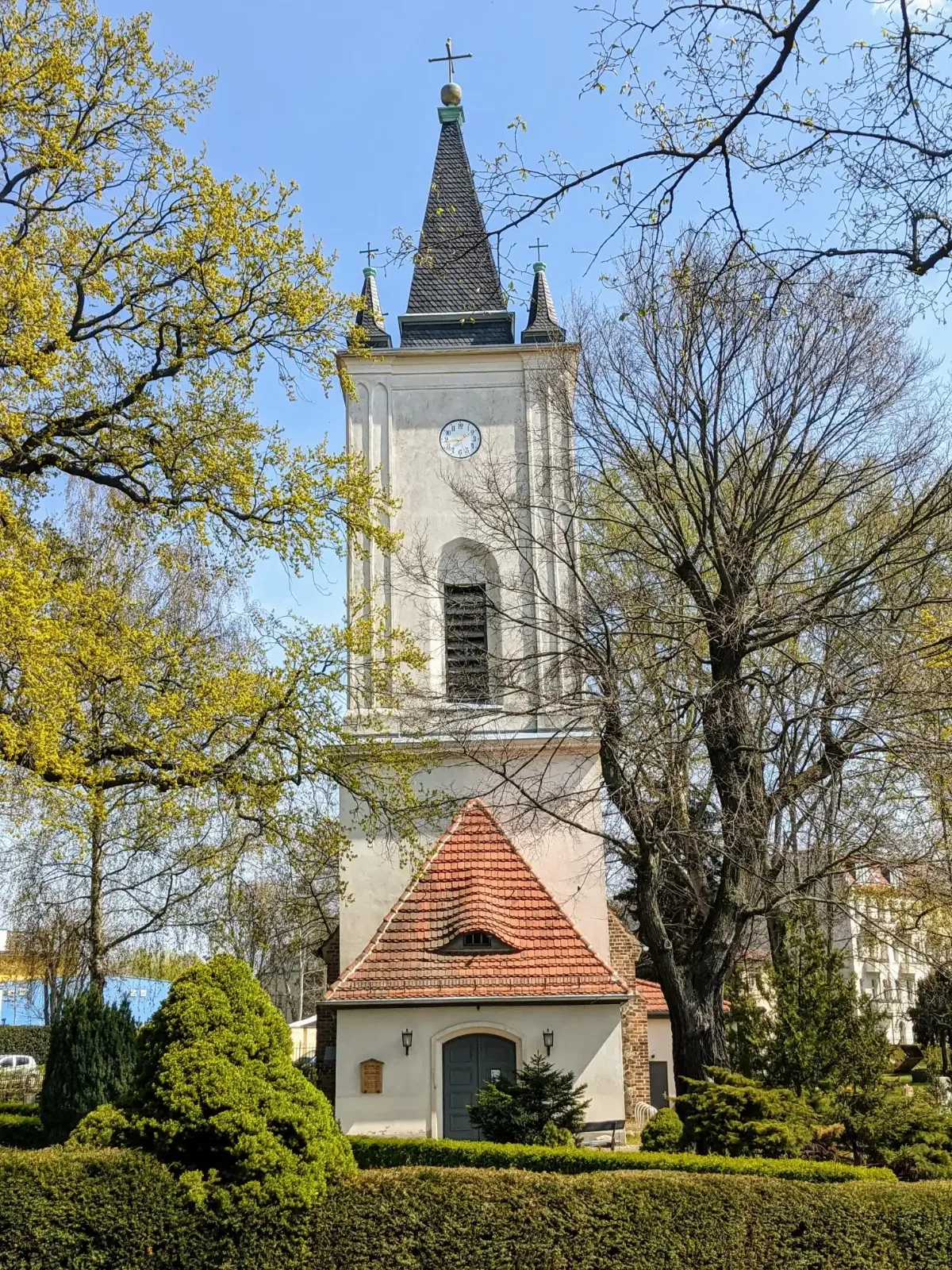 Dorfkirche Stralau mit weißem Turm und spitzem Helm hinter Hecken
